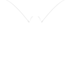 logo-transparent